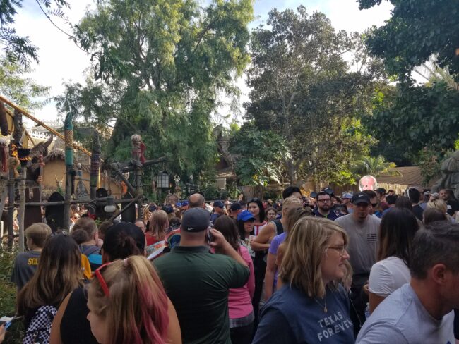 Holiday crowds at Disneyland